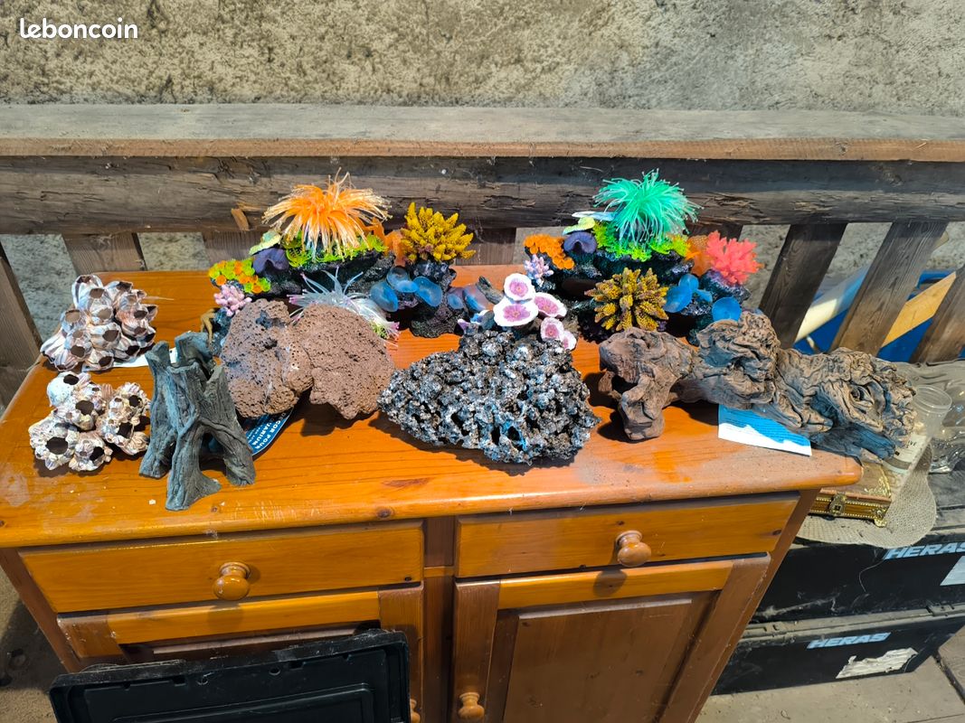 Décoration aquarium (image 1)
