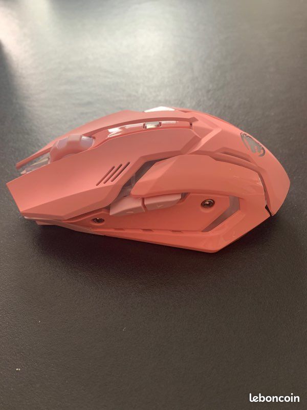 Souris pour gamer (image 4)