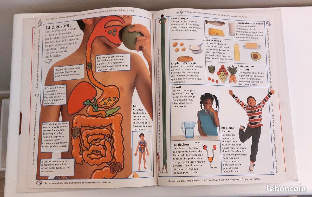 Mon grand livre du corps (image 6)