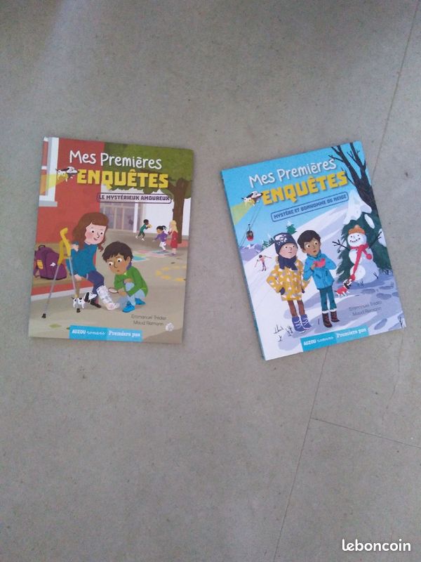 Livre d'enquête (image 1)