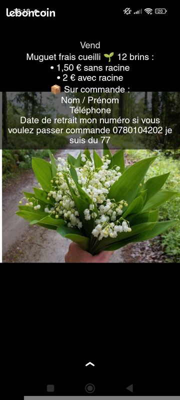 Muguet (image 1)