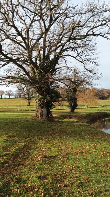 Terrain · à Quinssaines · 600 000 €