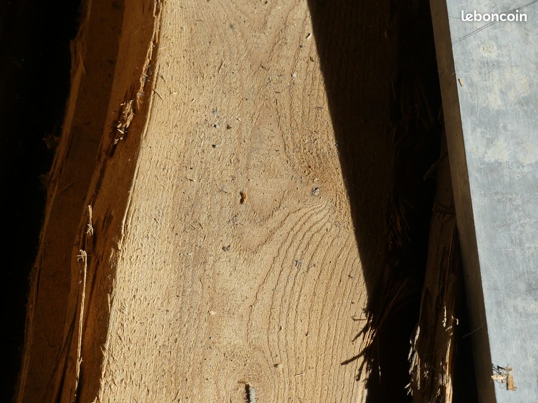 Planche brut orme et chêne (image 1)