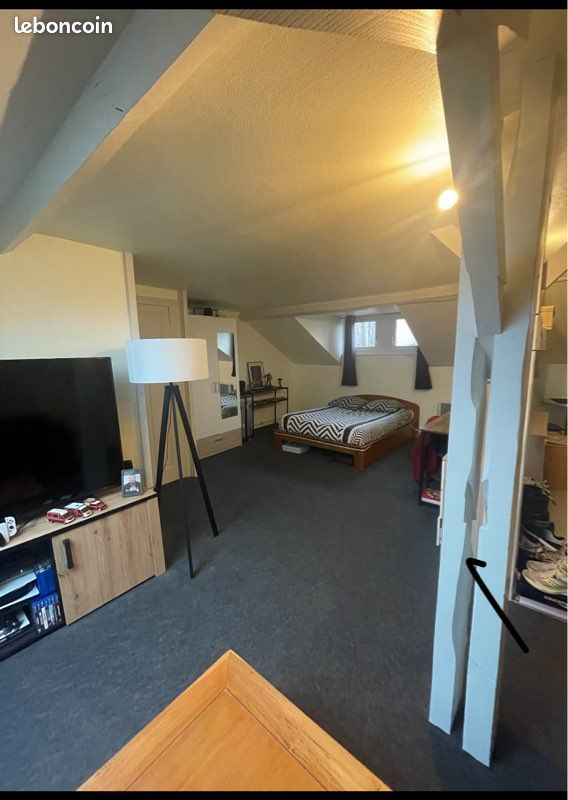 APPARTEMENT type loft secteur Sablard - Limoges 87000 (image principale 0)