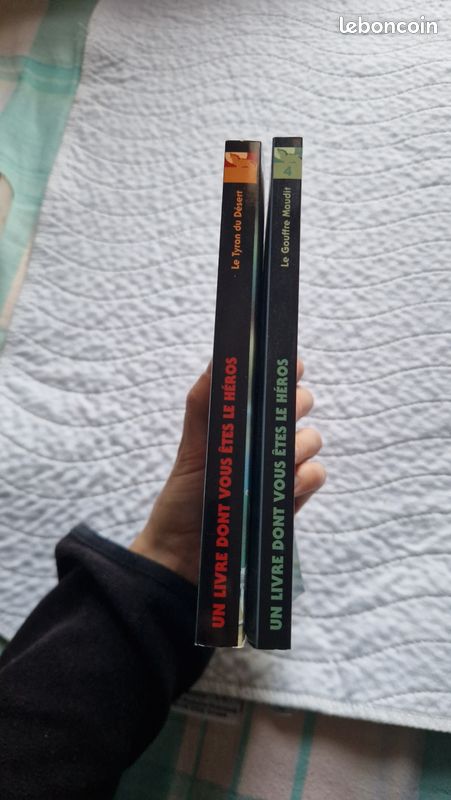 Livre dont vous êtes le héros 4 et 5 (image 4)