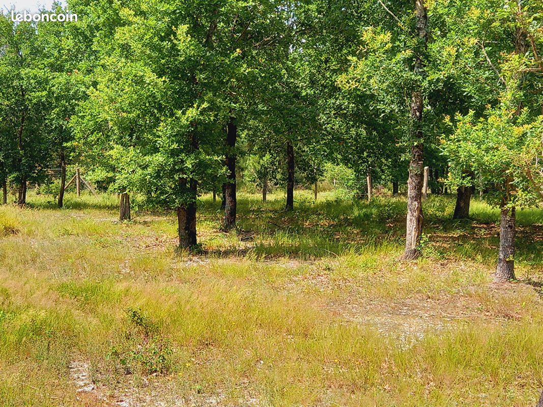 Terrain 725 m² · à Parentis-en-Born · 725 m² · 182 700 €