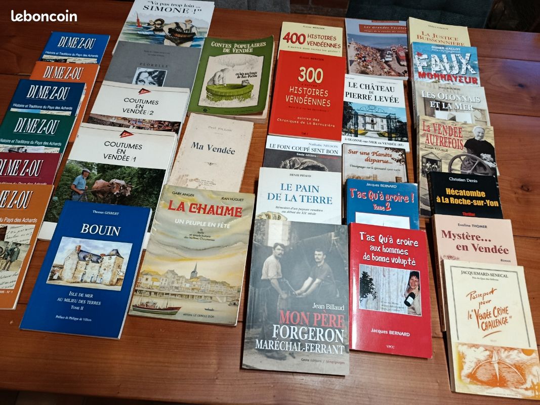 Lot de divers livres sur la vendee (image 2)