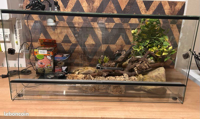 Terrarium (image 1)