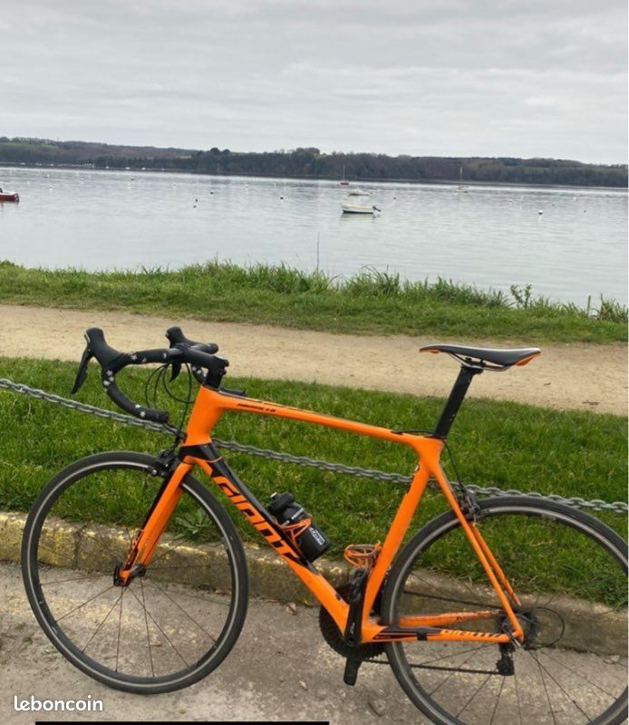 Vélo Giant carbone (image 1)