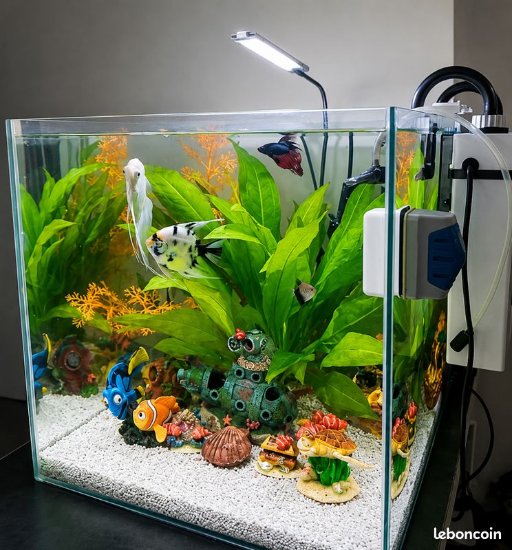 Aquarium (image 1)