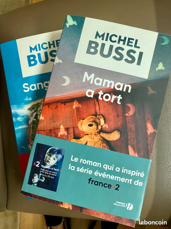 Lot de deux livres état neuf de Michel Bussi : Sang famile et Maman a tort (image 1)