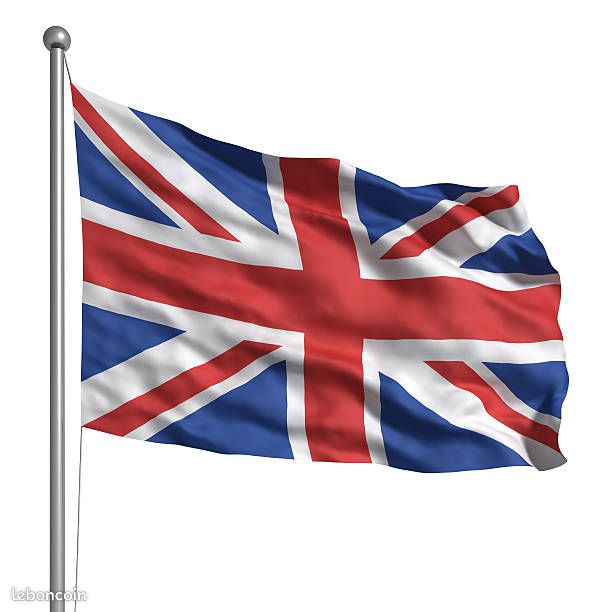Cours d'anglais collège lycée réguliers ou renforcement , préparation aux concours TOEIC TOEFL IELTS KEDGE SKEMA AVENIR SESAME ENNAC (image 1)
