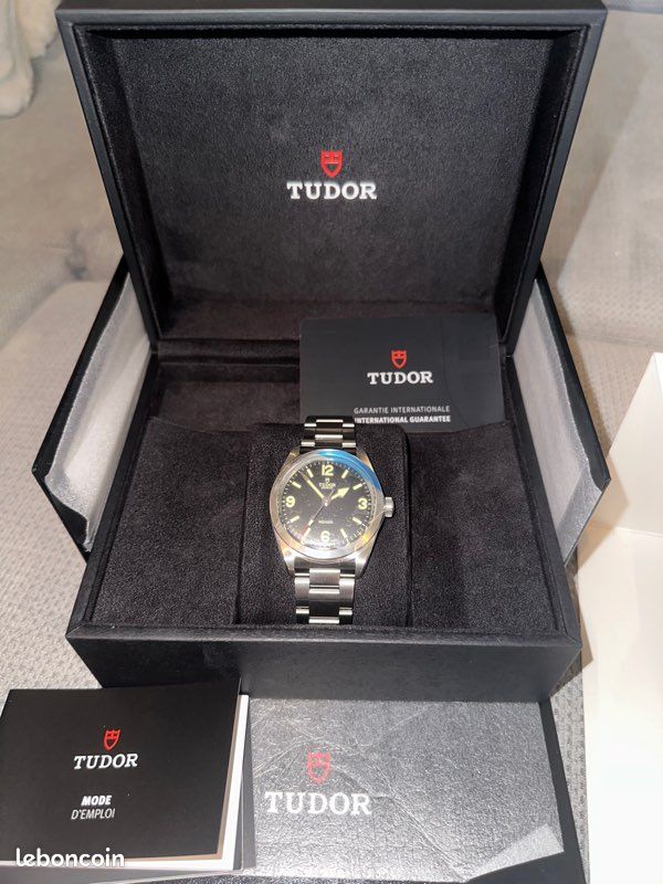 Tudor ranger (image 3)