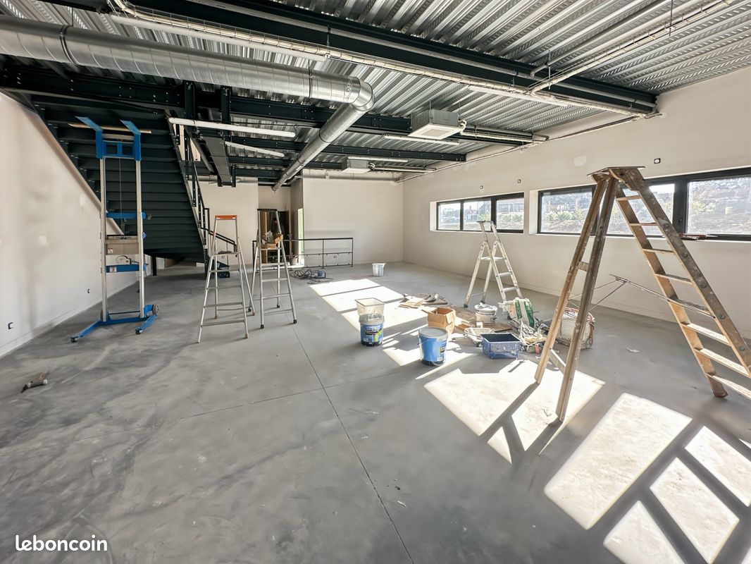 Local 540 m² Thurins (image 7)