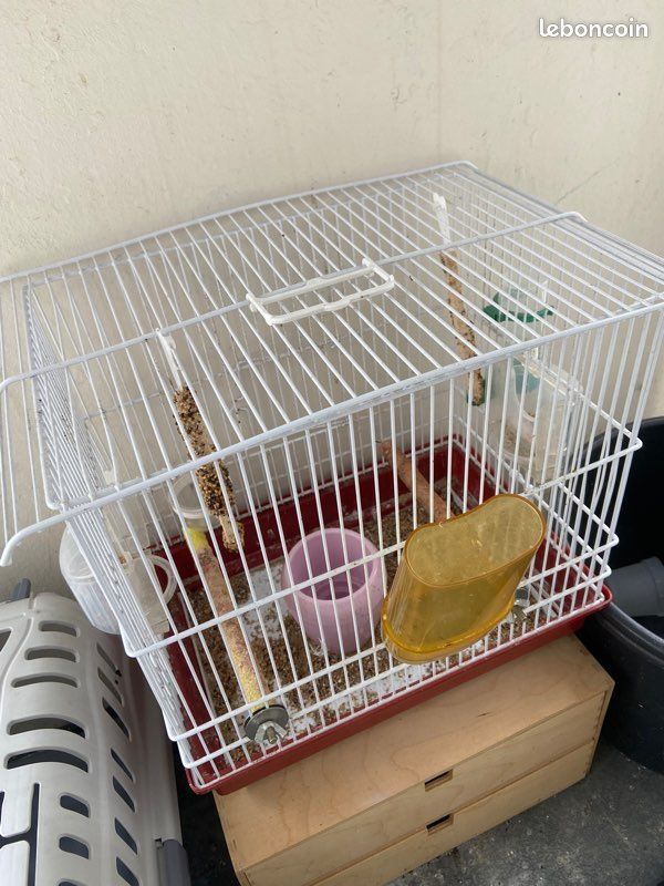 Cage à oiseaux (image 2)