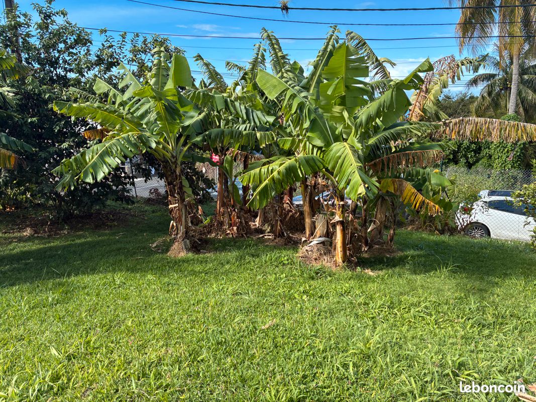 Villa jardin tropical et piscine (image 18)