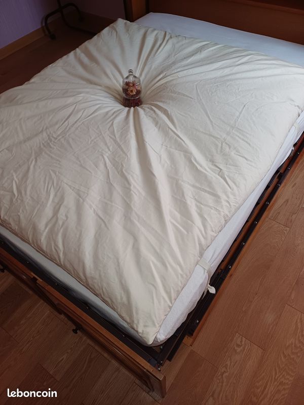Edredon avec duvet/plumettes (image 2)