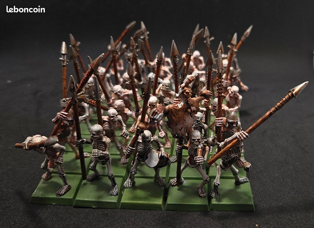 Livre d'armée Comtes Vampires VF 2008 - Total Wargame
