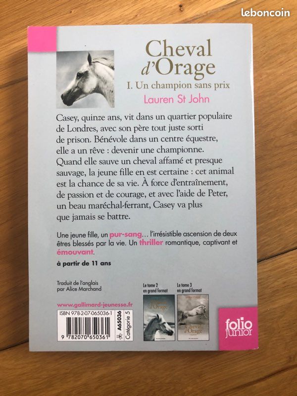 Livre-cheval d’orage (image 2)
