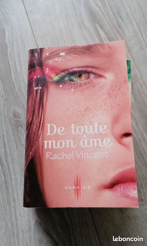 Les voleurs d'âmes Tome 1 à 4 (image 4)