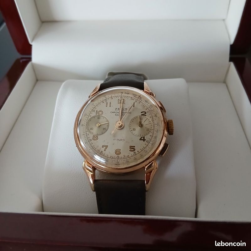 Montre zelus rubis suisse révision ok (image 10)