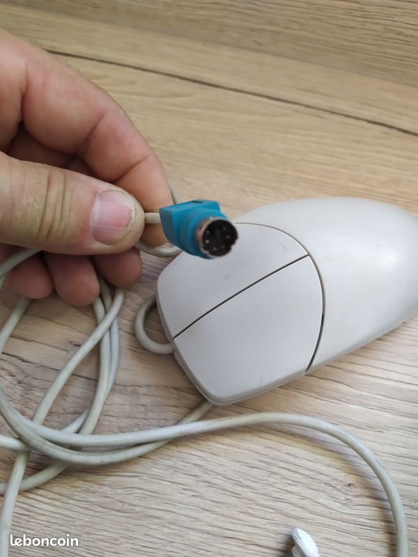 Souris (image 3)