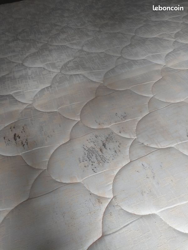 Vends grand lit latex (image 4)