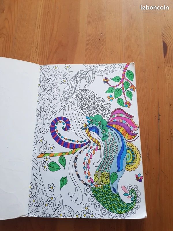 Un carnet de coloriages de couleur blanc (image 3)