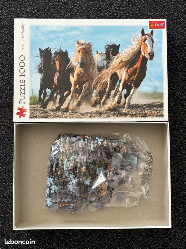 Puzzle 1000 pièces (image 2)
