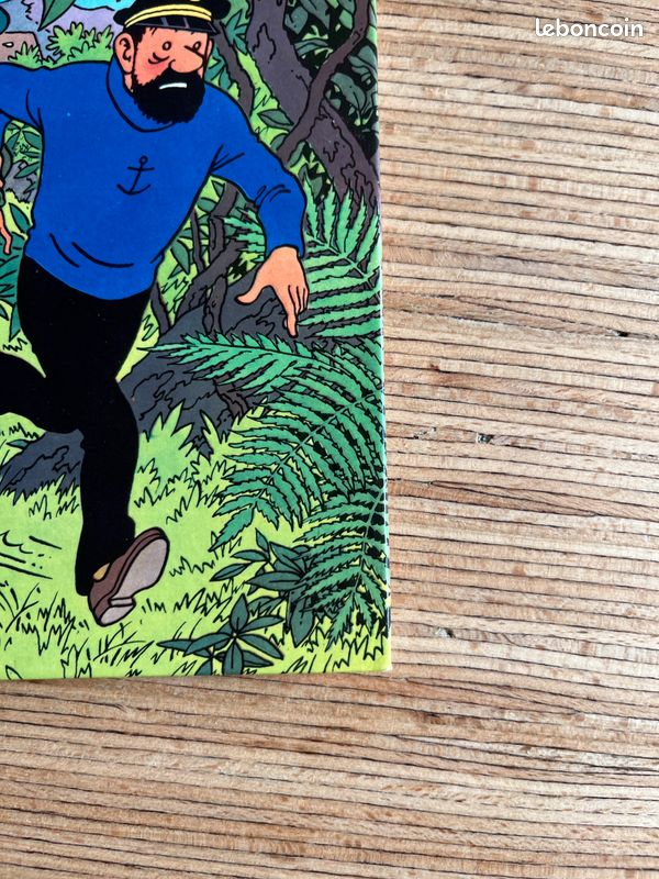 BD EO Les aventures de Tintin : Tintin et les Picaros (image 9)