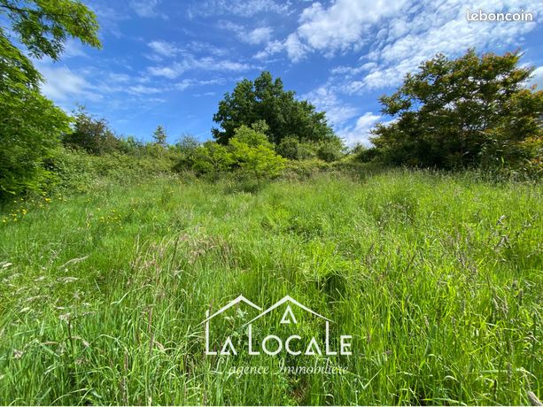 Terrain 3063 m² Solignac