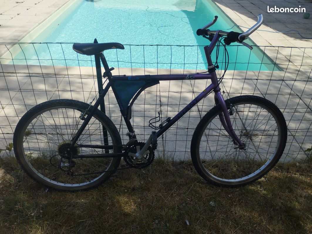 Vélo Giant (image 1)