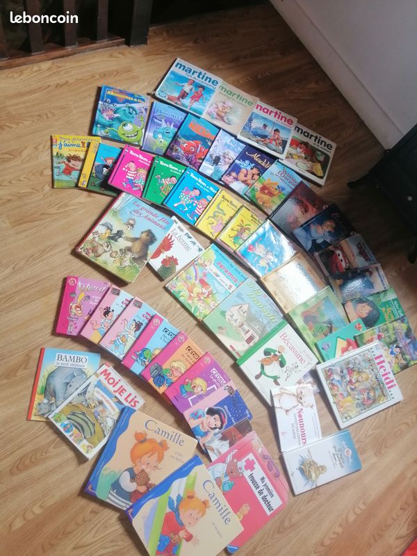 Gros lot livres (image 1)