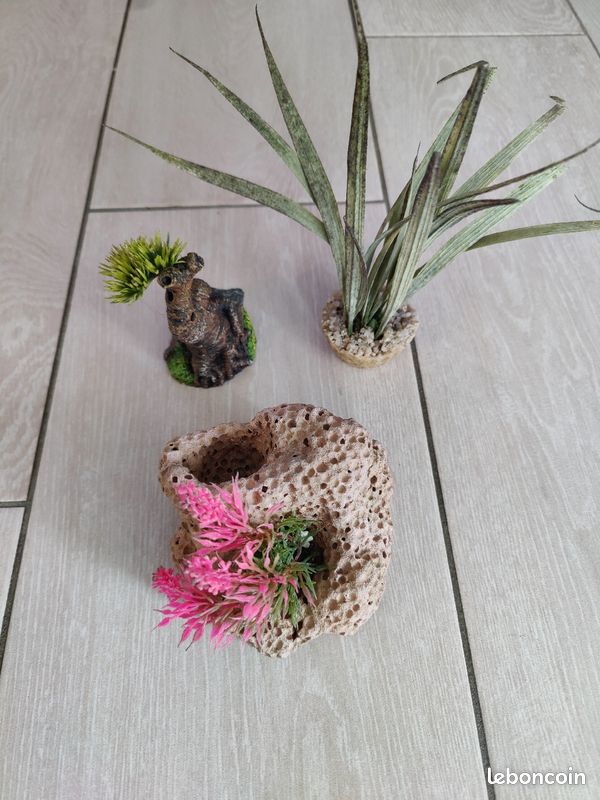 Décoration aquarium (image 1)