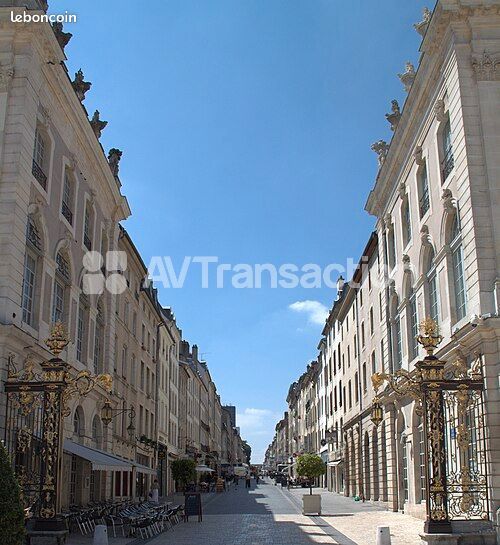 Immeuble 9 pièces 258 m² · à Nancy · 258 m² · 770 000 €