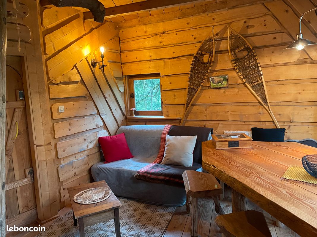 Cabane perchée au milieu de la forêt (image 6)