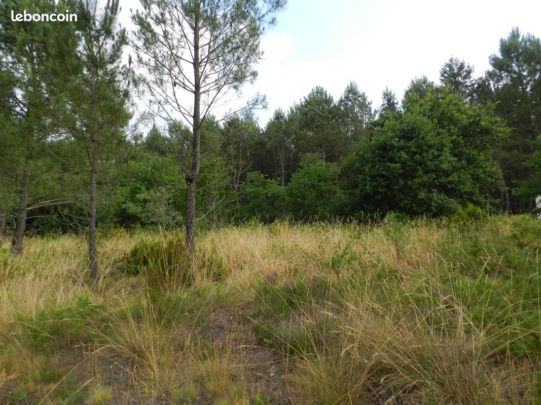 Terrain 1800 m² · à Estigarde · 1 800 m² · 28 000 €