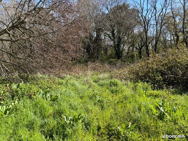 Terrain 700 m² Le Porge