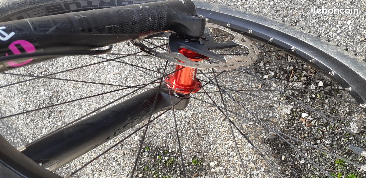 Transition Patrol L 2019 (image 7)