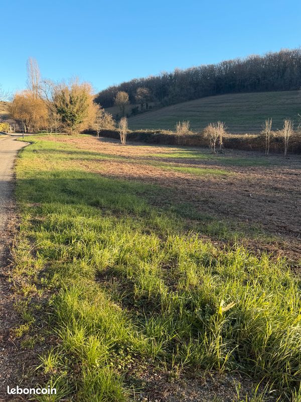 Terrain à vendre Castelnau-Barbarens · 15 000 €