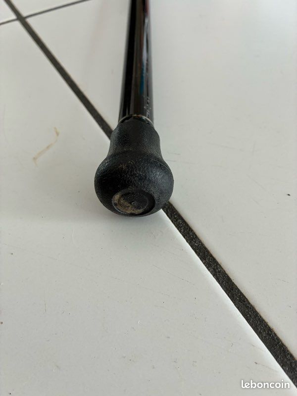 Canne à pêche daiwa dorade (image 7)