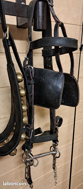 Ensemble de rênes Western Leather Horse bel ensemble de