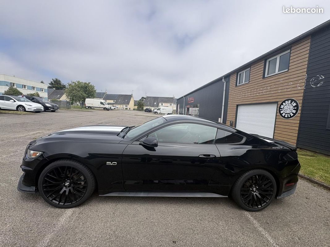 FORD MUSTANG 3.7 305 ch V6 - kit extérieur GT350 (image 22)