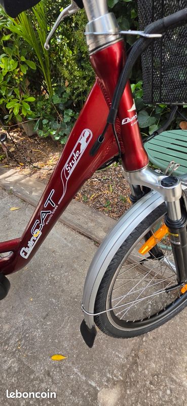 Vélo à assistance électrique (image 6)