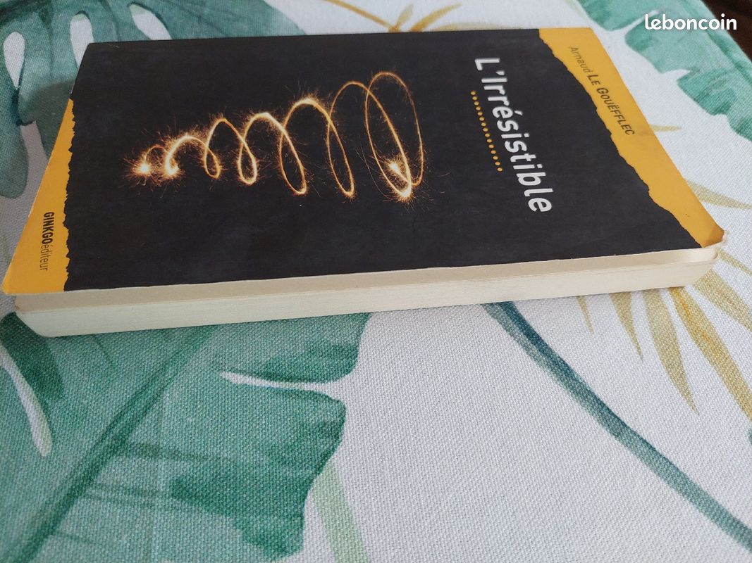 Livre L'irrésistible d' Arnaud Le Gouefflec (image 4)