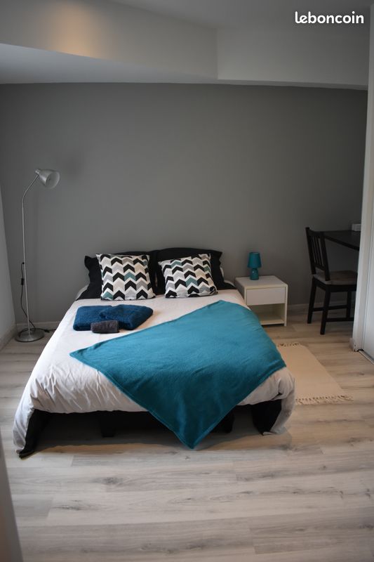 Location maison piscine intérieur chaufféee toute l'année à 29° (image 10)