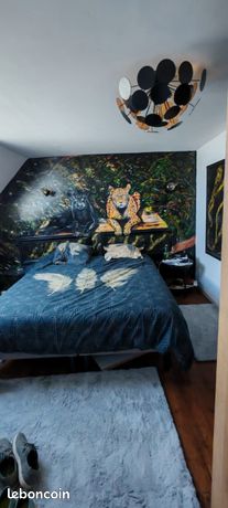 Loue appartement type loft