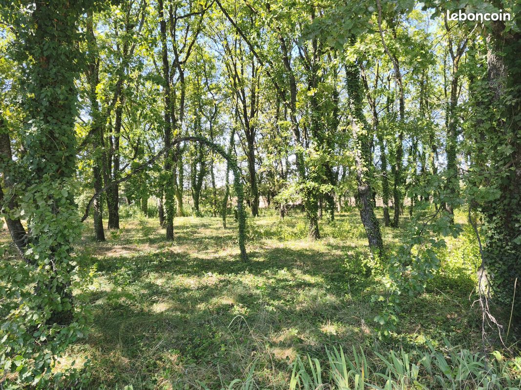 Terrain 1042 m² · à Aouste-sur-Sye · 1 042 m² · 123 000 €