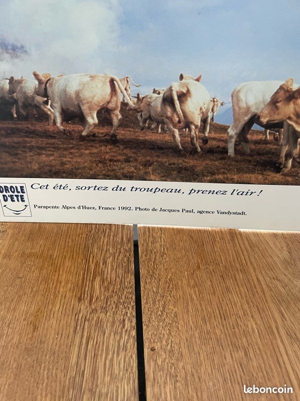 PlV Vintage. Drôle d’été. ( Photo Jacques Paul ) (image 4)