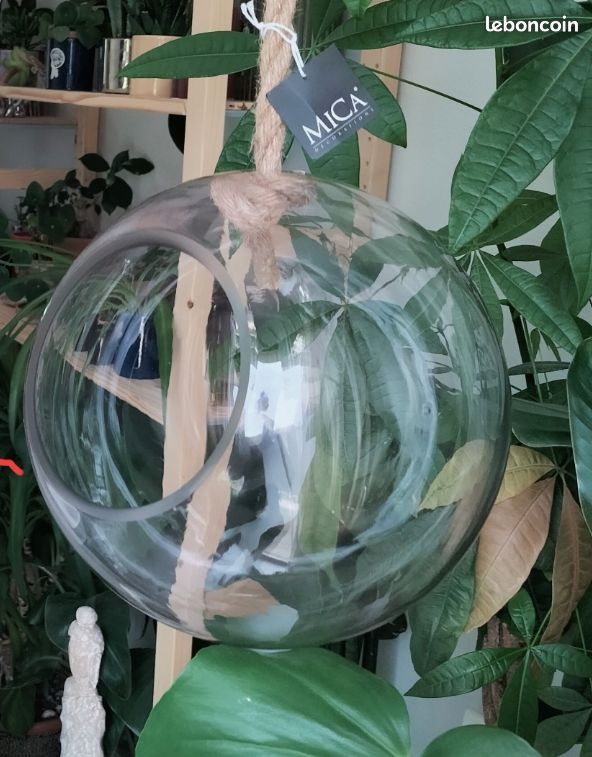 Terrarium sphère à suspendre pour plantes ou décoration intérieure (image 3)